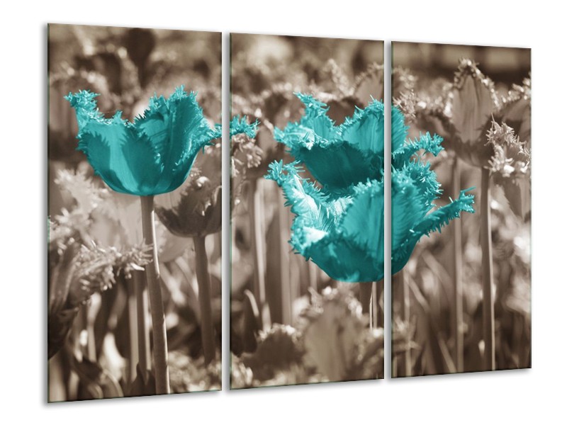 Canvas schilderij Tulpen | Blauw, Grijs | 120x80cm 3Luik