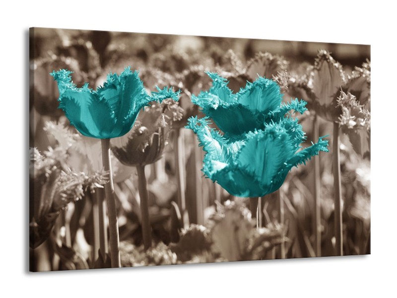 Canvas schilderij Tulpen | Blauw, Grijs | 140x90cm 1Luik