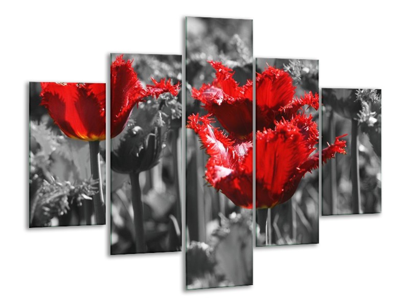 Canvas schilderij Tulpen | Rood, Grijs | 100x70cm 5Luik