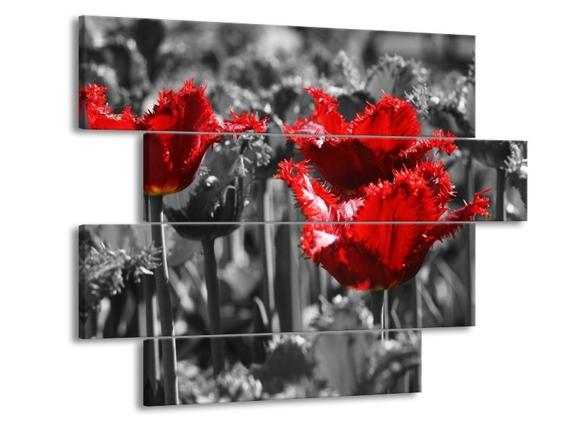Canvas schilderij Tulpen | Rood, Grijs | 115x85cm 4Luik