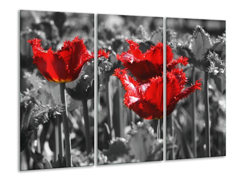 Canvas schilderij Tulpen | Rood, Grijs | 120x80cm 3Luik