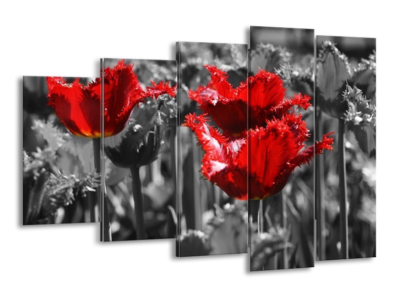 Canvas schilderij Tulpen | Rood, Grijs | 150x100cm 5Luik