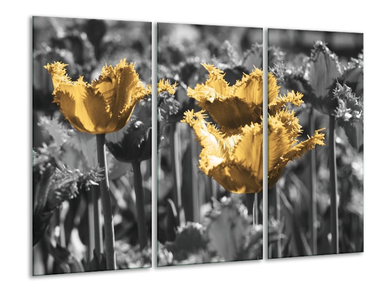 Canvas schilderij Tulpen | Geel, Zwart | 120x80cm 3Luik