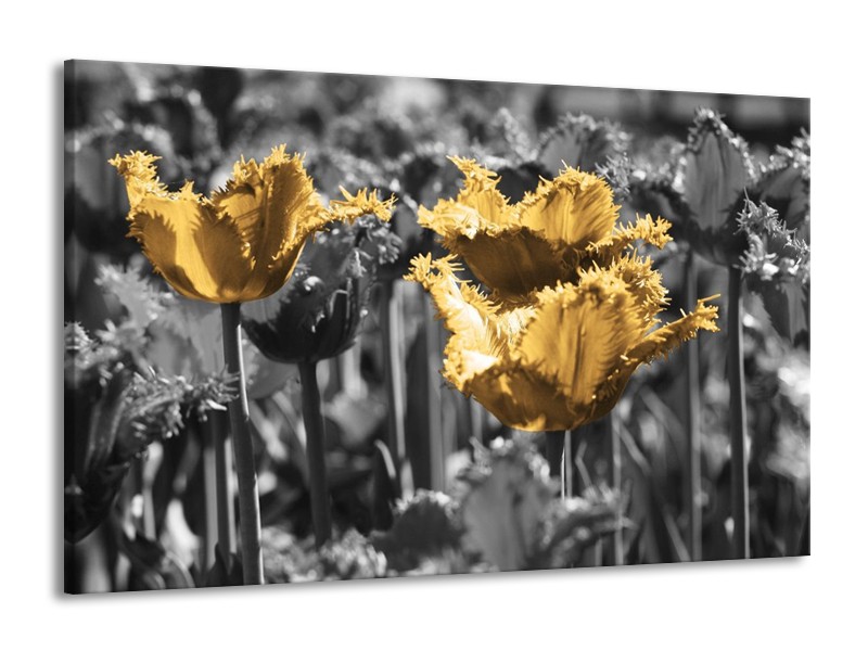 Canvas schilderij Tulpen | Geel, Zwart | 140x90cm 1Luik