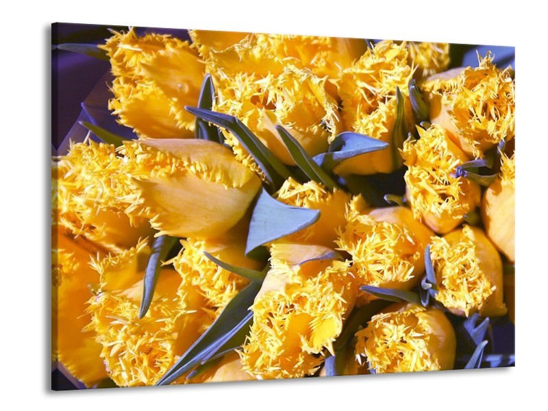 Canvas schilderij Tulpen | Geel, Groen | 100x70cm 1Luik
