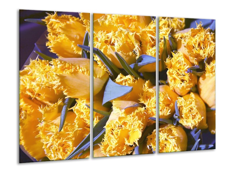 Canvas schilderij Tulpen | Geel, Groen | 120x80cm 3Luik