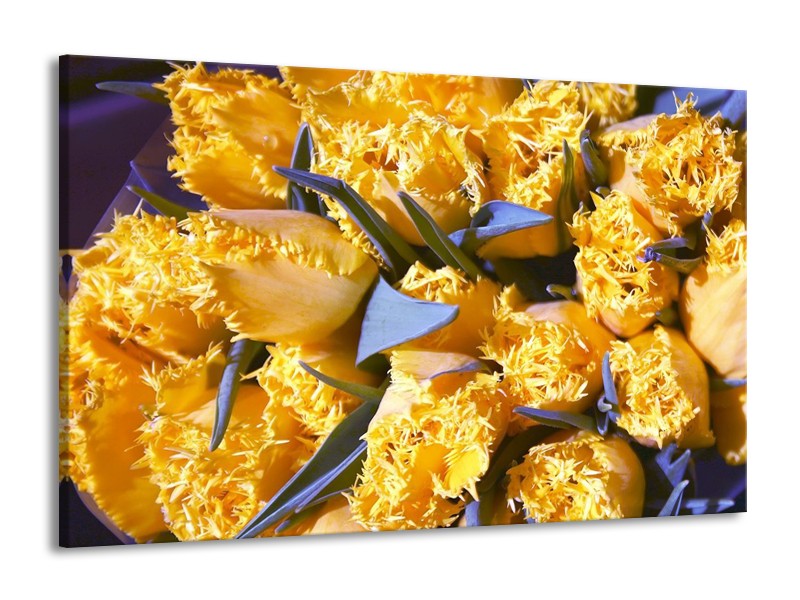 Canvas schilderij Tulpen | Geel, Groen | 140x90cm 1Luik