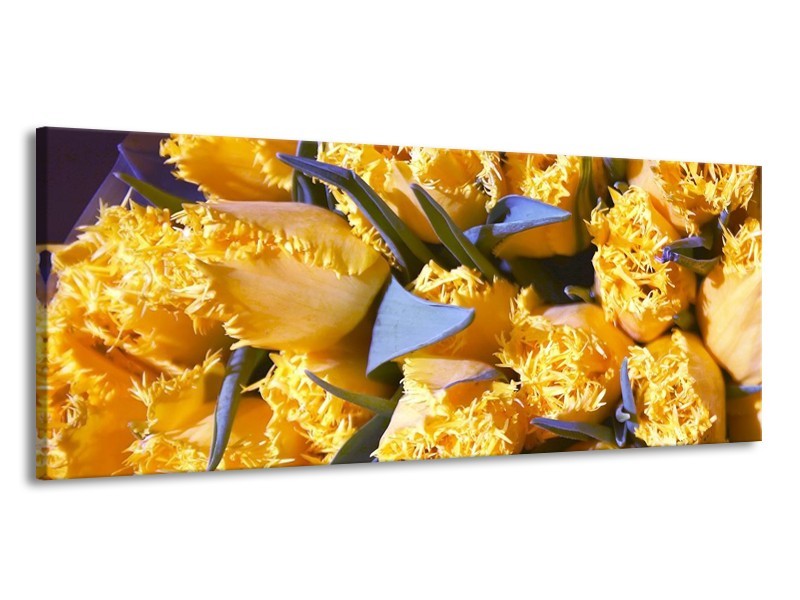 Canvas schilderij Tulpen | Geel, Groen | 145x58cm 1Luik
