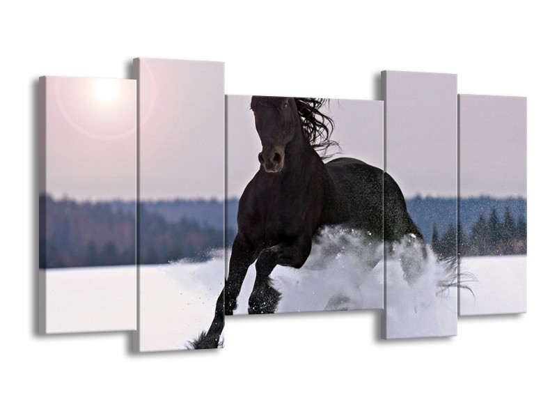 Glas schilderij Paard | Wit, Zwart, Grijs | 120x65cm 5Luik