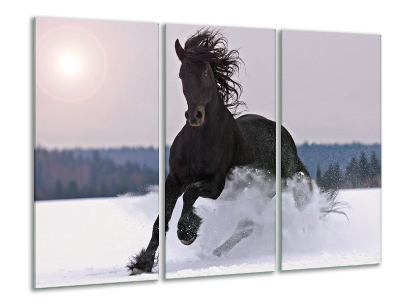 Canvas schilderij Paard | Wit, Zwart, Grijs | 120x80cm 3Luik