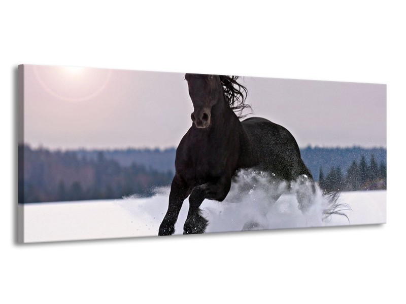 Canvas schilderij Paard | Wit, Zwart, Grijs | 145x58cm 1Luik