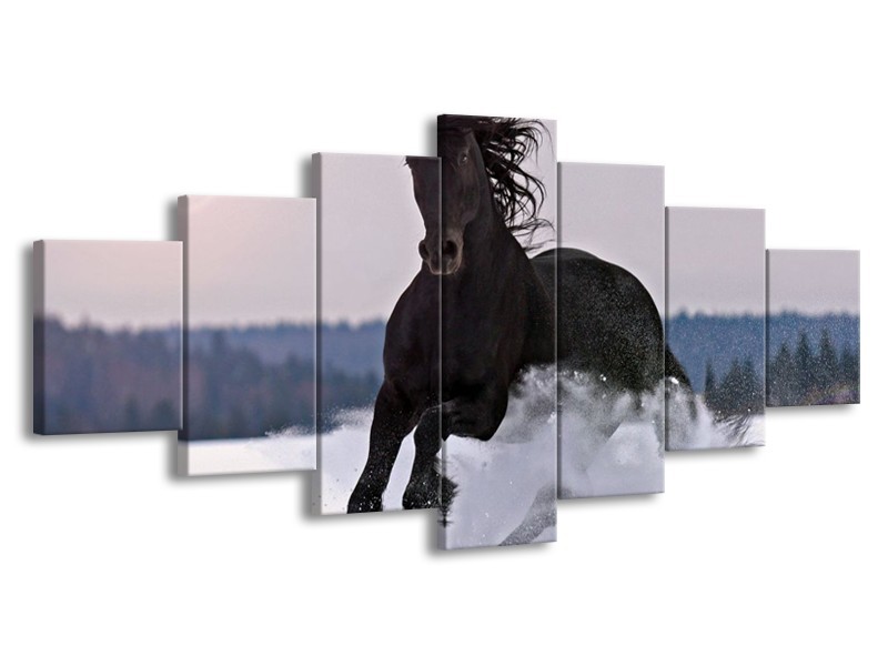 Canvas schilderij Paard | Wit, Zwart, Grijs | 210x100cm 7Luik