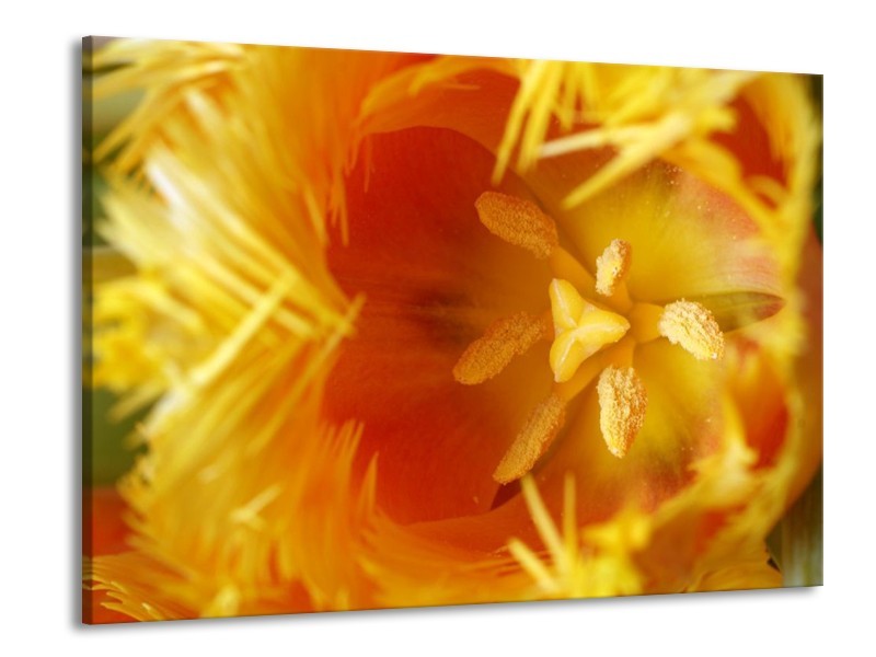 Canvas schilderij Abstract | Geel, Oranje, Rood | 100x70cm 1Luik