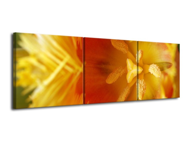 Canvas schilderij Abstract | Geel, Oranje, Rood | 120x40cm 3Luik