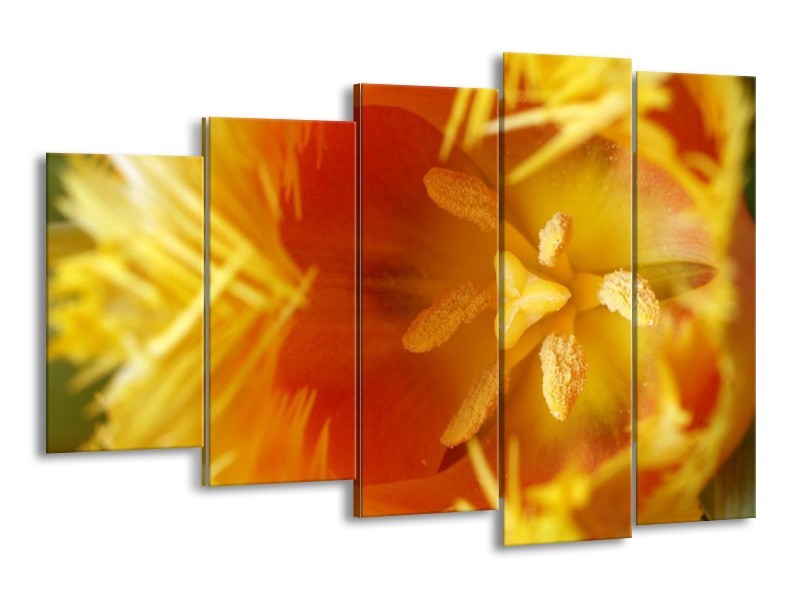 Canvas schilderij Abstract | Geel, Oranje, Rood | 150x100cm 5Luik
