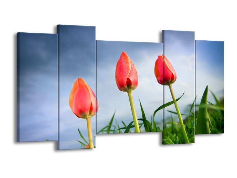 Canvas schilderij Tulpen | Rood, Blauw, Groen | 120x65 5Luik
