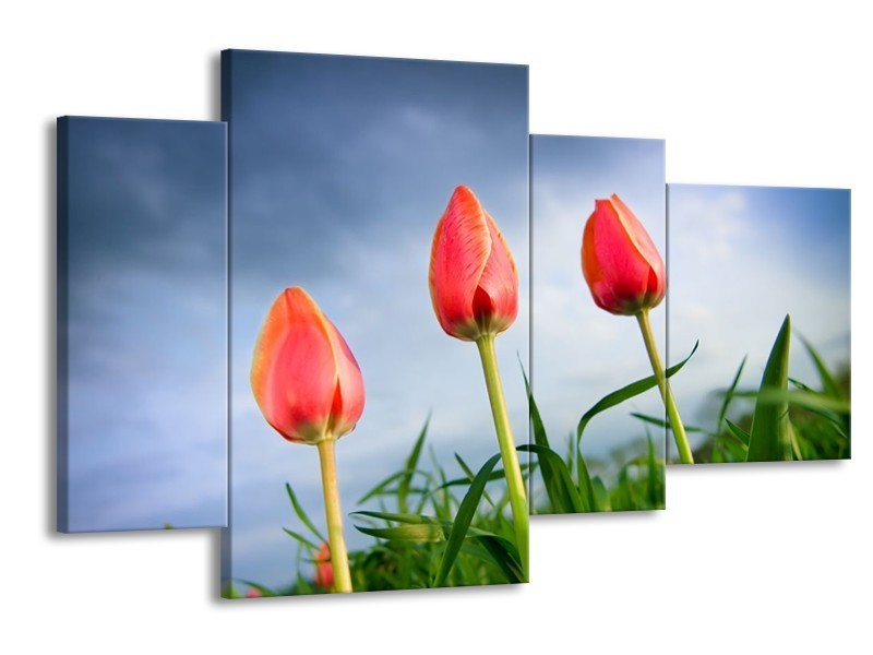 Canvas schilderij Tulpen | Rood, Blauw, Groen | 120x75cm 4Luik