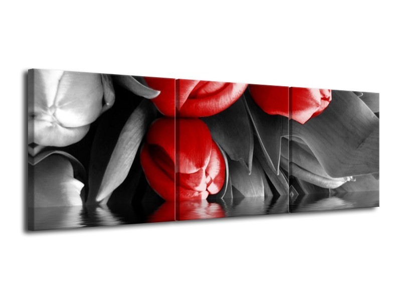 Canvas schilderij Tulpen | Rood, Grijs, Zwart | 120x40cm 3Luik