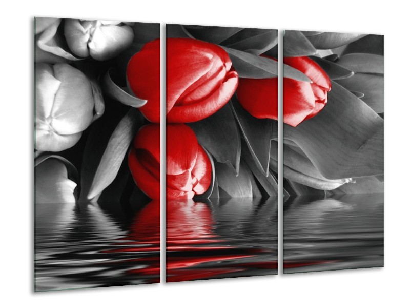 Canvas schilderij Tulpen | Rood, Grijs, Zwart | 120x80cm 3Luik