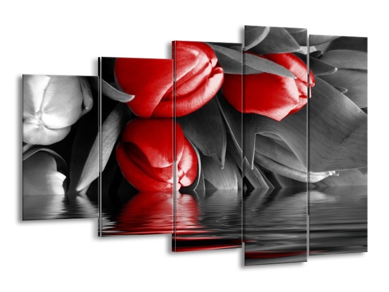 Canvas schilderij Tulpen | Rood, Grijs, Zwart | 150x100cm 5Luik