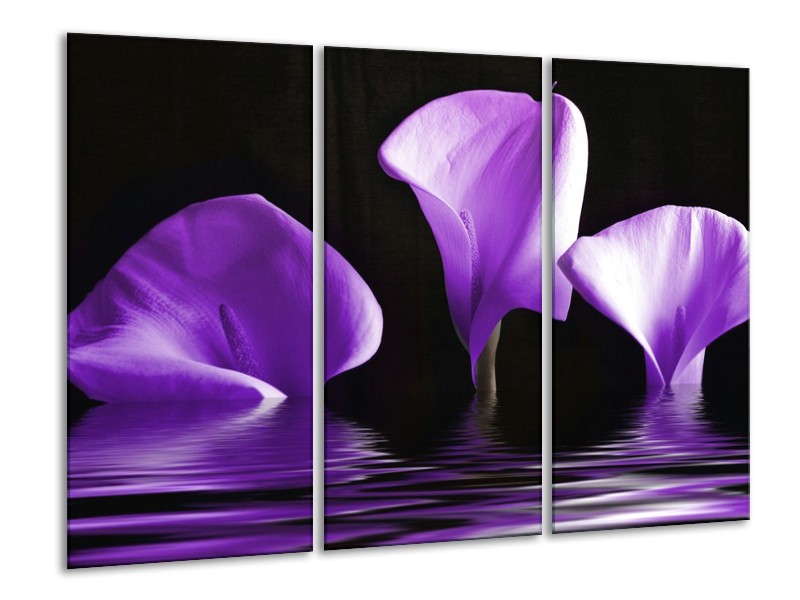 Canvas schilderij Bloem | Paars, Zwart | 120x80cm 3Luik