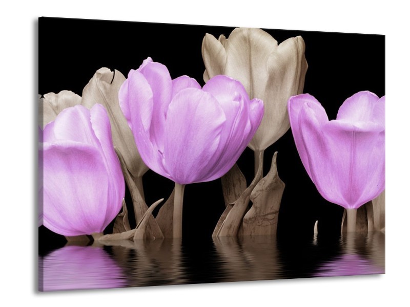 Canvas schilderij Tulpen | Paars, Grijs | 100x70cm 1Luik