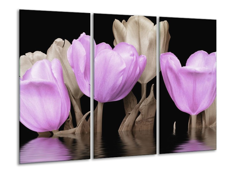 Canvas schilderij Tulpen | Paars, Grijs | 120x80cm 3Luik