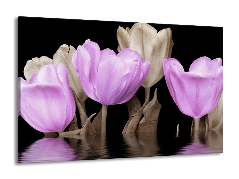 Canvas schilderij Tulpen | Paars, Grijs | 140x90cm 1Luik