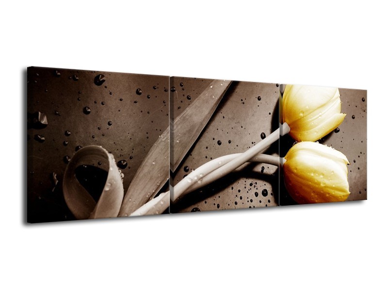 Glas schilderij Tulpen | Geel, Bruin | 120x40cm 3Luik