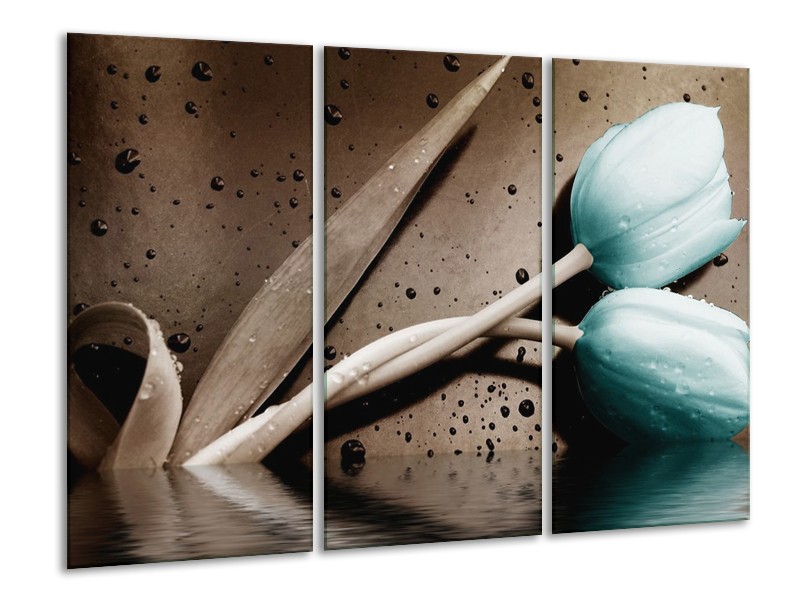 Canvas schilderij Tulpen | Blauw, Bruin | 120x80cm 3Luik