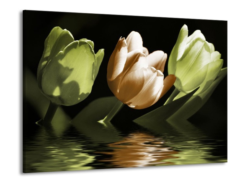 Canvas schilderij Tulpen | Groen, Bruin | 100x70cm 1Luik