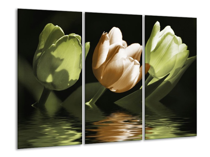 Canvas schilderij Tulpen | Groen, Bruin | 120x80cm 3Luik