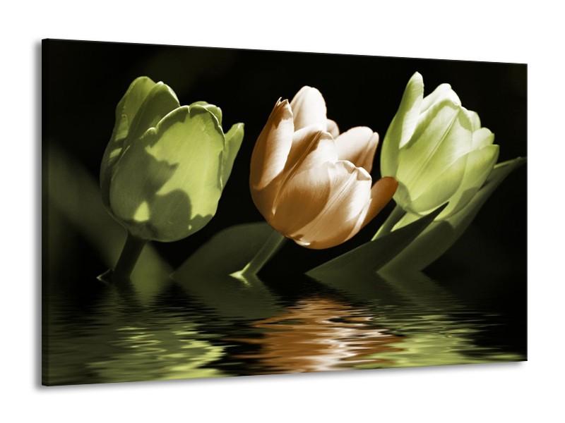 Canvas schilderij Tulpen | Groen, Bruin | 140x90cm 1Luik