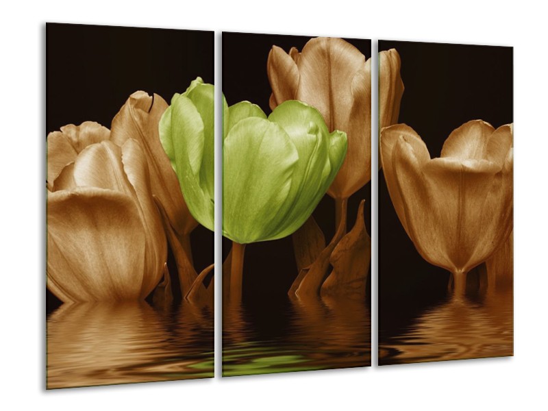 Canvas schilderij Tulpen | Groen, Bruin | 120x80cm 3Luik