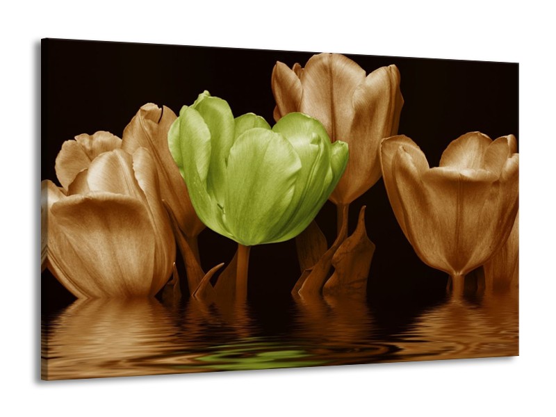 Canvas schilderij Tulpen | Groen, Bruin | 140x90cm 1Luik