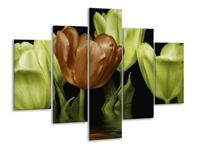 Canvas schilderij Tulpen | Groen, Bruin | 100x70cm 5Luik