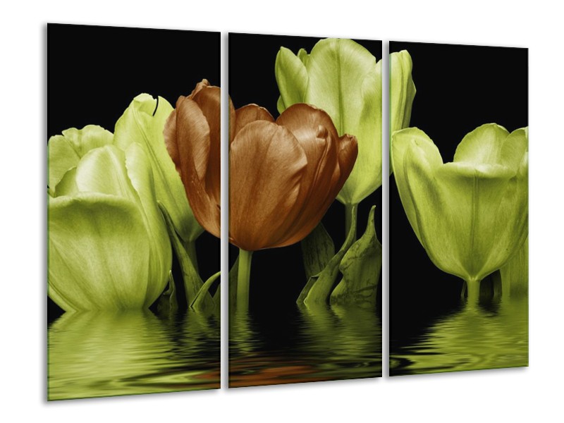 Canvas schilderij Tulpen | Groen, Bruin | 120x80cm 3Luik