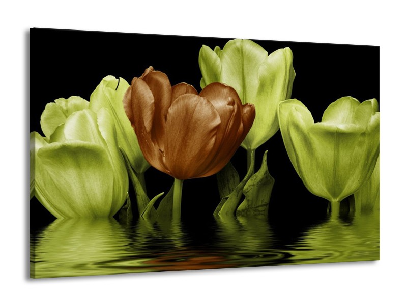 Canvas schilderij Tulpen | Groen, Bruin | 140x90cm 1Luik