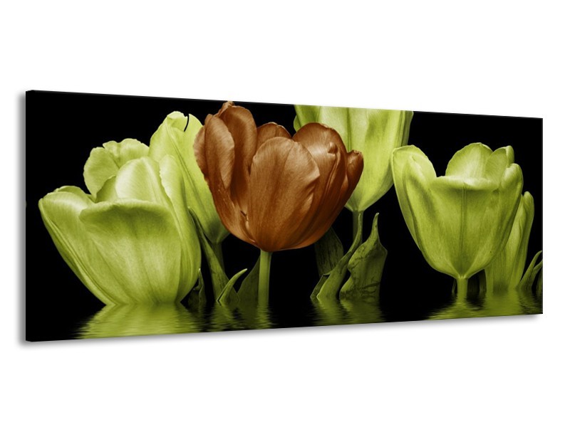 Canvas schilderij Tulpen | Groen, Bruin | 145x58cm 1Luik