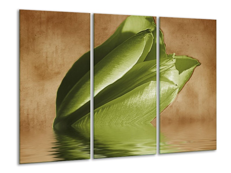 Canvas schilderij Tulpen | Groen, Bruin | 120x80cm 3Luik