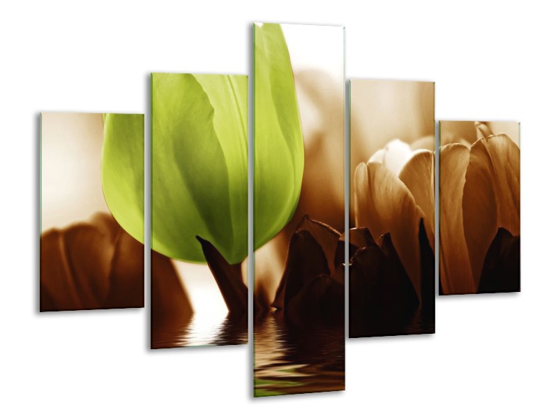 Canvas schilderij Tulpen | Groen, Bruin | 100x70cm 5Luik