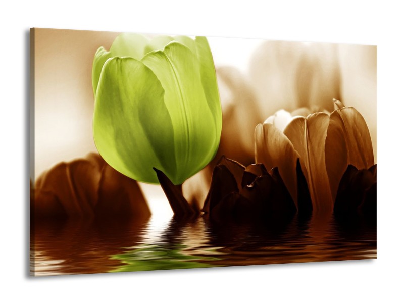 Canvas schilderij Tulpen | Groen, Bruin | 140x90cm 1Luik