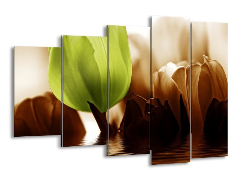 Canvas schilderij Tulpen | Groen, Bruin | 150x100cm 5Luik