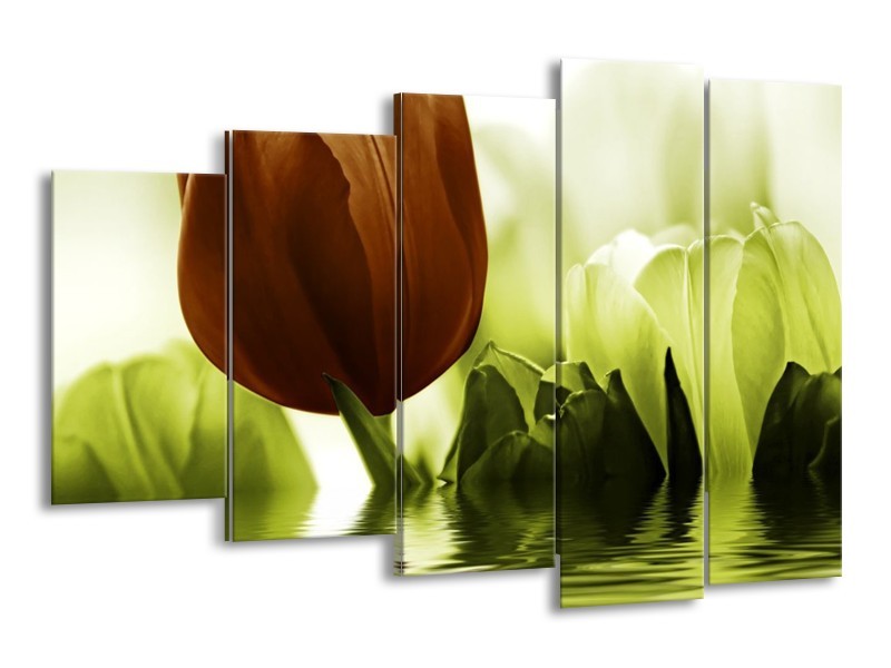 Canvas schilderij Tulpen | Groen, Bruin | 150x100cm 5Luik