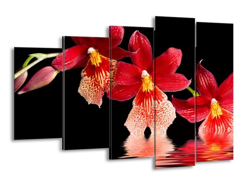 Canvas schilderij Orchidee | Rood, Zwart, Wit | 150x100cm 5Luik