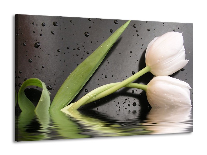 Canvas schilderij Tulpen | Wit, Groen, Grijs | 140x90cm 1Luik