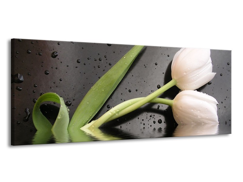 Canvas schilderij Tulpen | Wit, Groen, Grijs | 145x58cm 1Luik