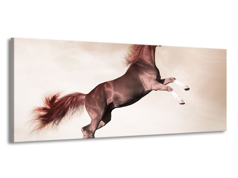 Canvas schilderij Paard | Sepia, Bruin | 145x58cm 1Luik