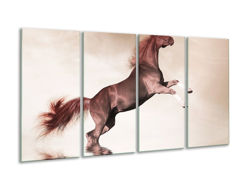 Canvas schilderij Paard | Sepia, Bruin | 160x80cm 4Luik