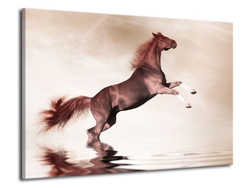 Canvas schilderij Paard | Sepia, Bruin | 70x50cm 1Luik